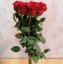 Kytice z velkokvětých 10 rudých růží