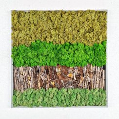 Mechový obraz 60*60 cm šedý rám s dřevem z moře