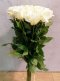 Kytice z velkokvětých 15 bílých růží