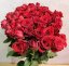 Kytice z  50 velkokvětých rudých růží