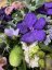 Kulatá střední kytice - v podzimních modro-fialových barvách