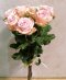 Kytice z  10 velkokvětých  růžových  růží