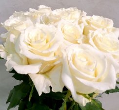 Kytice z velkokvětých 10   bílých růží