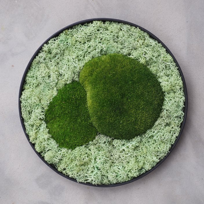 Mechový obraz kruh 30cm s dvěma mechovými kameny