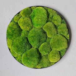 Mechový obraz kruh 50cm vyplněný mechovými kamínky