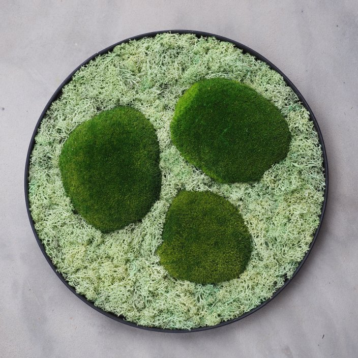 Mechový obraz kruh 40cm se třemi mechovými kameny