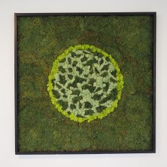 Mechový obraz 100x100cm kruh