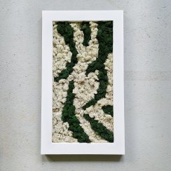 Mechový obraz 40*70  islandský mech - bílý rám